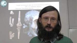 Станислав Дробышевский. Эволюция приматов