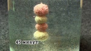 Пылящие, растворимые бойлы для рыбалки и ловли карпа, амура, линя и карася.
