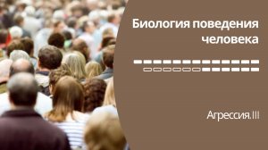 Биология поведения человека Лекция #19. Агрессия, III [Роберт Сапольски, 2010. Стэнфорд]