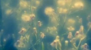 Валерий Гаврилин   Вечерняя музыка Перезвоны