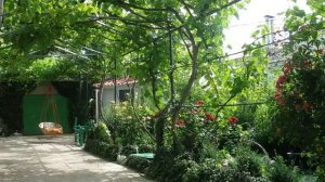 Достопримечательности Крыма   Экскурсии из Николаевки  Крым