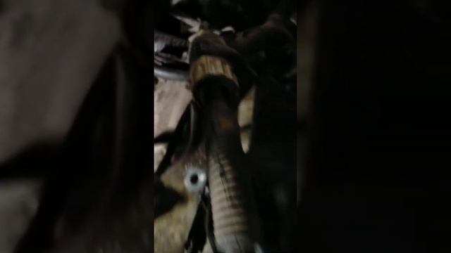 пропало сцепление форд фокус 2 1.6 л смотреть онлайн