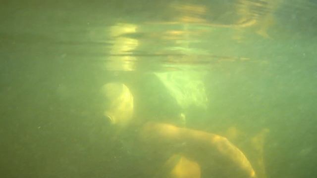 Погружение под воду в ИП-4 (часть третья:) смотреть онлайн