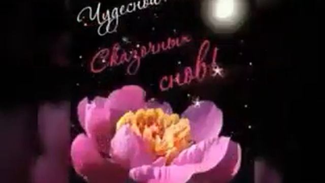 200010524-SP  Чудесной ночи, сказочных снов (0.30) смотреть онлайн