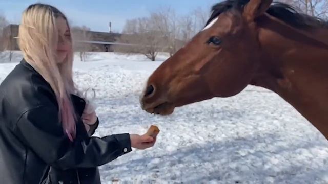 КТО ЖЕ РОДИТЕЛИ ТИГРЫ?! | ТИГРИНЫЙ VLOG смотреть онлайн