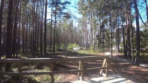 Онежские петроглифы, Бесов нос, Пудож (Карелия) — автопутешествие по Карелии