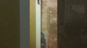 Волма аквалюкс первая проба.