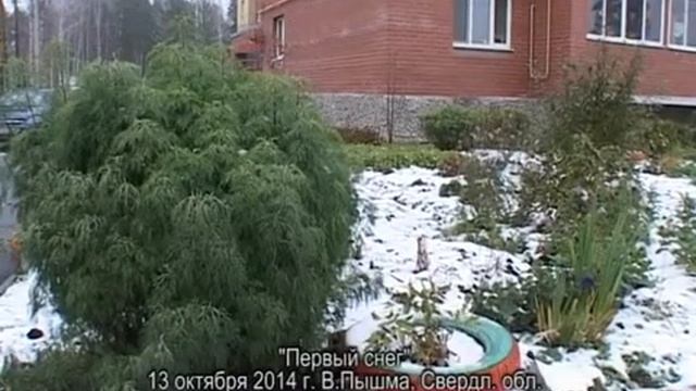 Первый снег смотреть онлайн