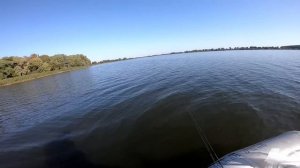 Купить воблеры которые СРАЗУ ЛОВЯТ!!! Приманка на щуку. Как выбрать воблер. Твичинг для начинающих.