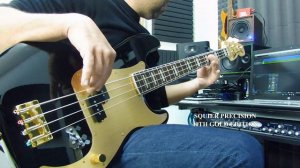 Precision Bass Comparison (Squier 40th vs Fender Player Series)
