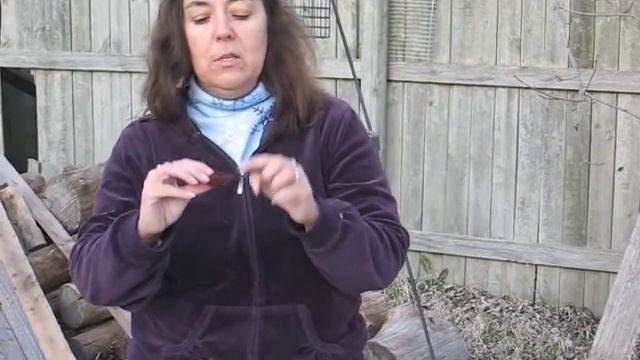 Learn How to Plant a Gloxinia Bulb (Tuber) смотреть онлайн