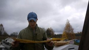 Решетки для сбора прополиса  Ринг. Итоги//Часть 2.