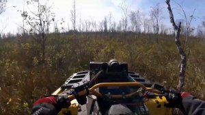 Стелс Гепард 650 и Аодис муд про 1000, катка по местным болотам, я перевернул свой квадроцикл 18+.