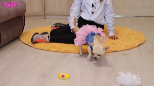 КАНЦЕЛЯРИЯ и ЛУК в школу .СОБАКА решает новое ВЗРОСЛОЕ или старое детское. Back to school Tasha clu смотреть онлайн