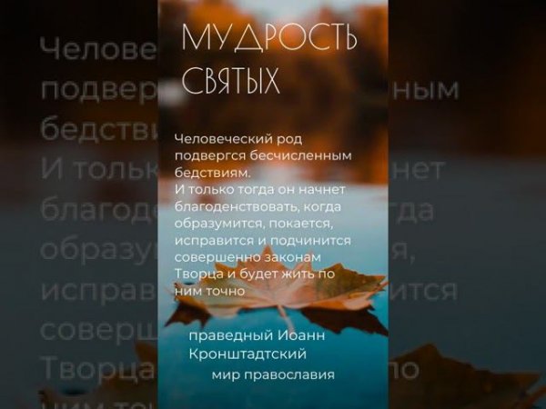 Мудрость святых О бесчисленных бедствиях #мирправославия #shorts #shortsvideo