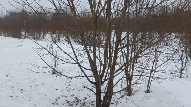 Как заработать 10000 рублей за день.