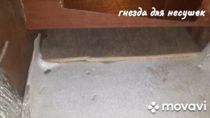 гнезда для кур несушек