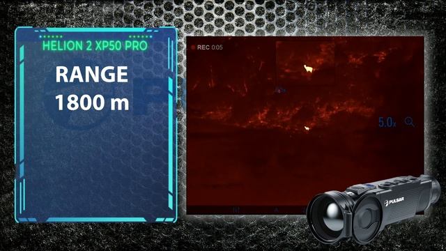 hunting with the new Pulsar Helion 2 XP50 PRO смотреть онлайн