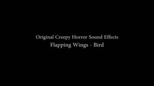 Bird Wings Sound - Flapping Wings Sound Effect