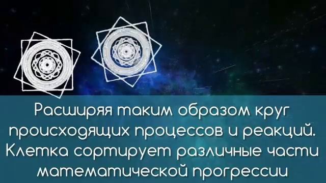 СТРОЕНИЕ МОЗГА ЧЕЛОВЕКА/КНИГА ЛЕЧЕНИЕ КОДАМИ ТОМ 5
