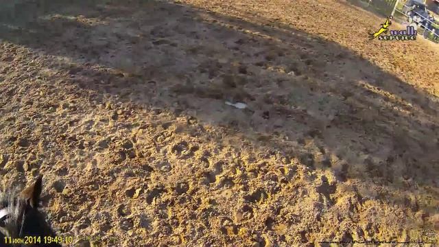 Конкур, взгляд со стороны лошади смотреть онлайн