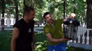 Репортаж на телеканале 360 как избавиться от комаров