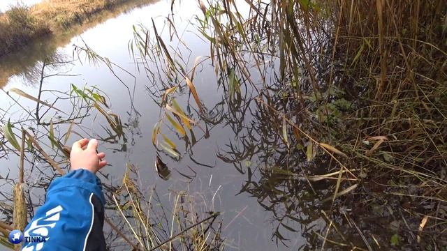 ФИДЕР в НОЯБРЕ. Ловля подлещика на ТЕТЕРИНСКОМ вдхр смотреть онлайн