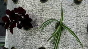 Аэропоника своими руками 3 Aeroponics own hands 3