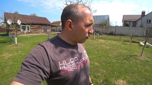 Низкий оплод гусей// Разбираемся в причинах смотреть онлайн