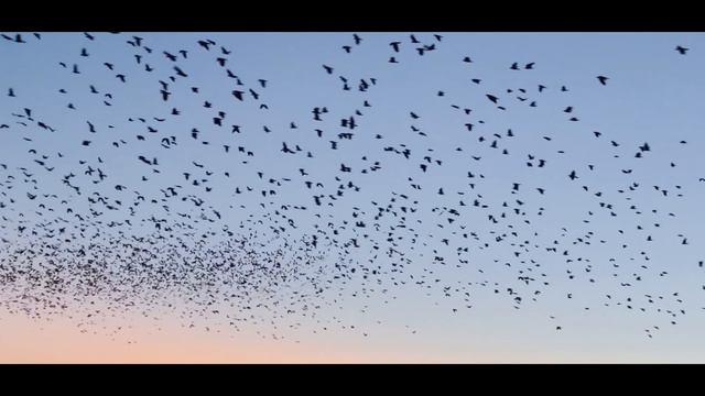 Ian - Kicsi gyere velem...(Cserháti Zsuzsa dal feldolgozás piano) смотреть онлайн