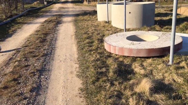В БЕЛАРУСИ НЕТ КАРАНТИНА /  ПРОГУЛКА С ДЕТЬМИ ПО ДАЧЕ