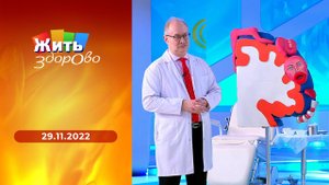 Жить здорово! Выпуск от 29.11.2022