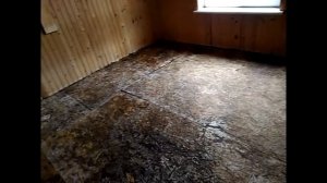 Отсутствие продухов в ленточном фундаменте.