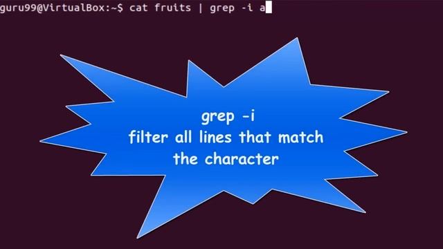 Pipes, Grep, Sort Commands: Linux Tutorial 9