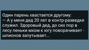 Ночью в Поезде Сын Увидел Как Мужик Полез Маме в Трусы! Сборник Свежих Анекдотов! Юмор!