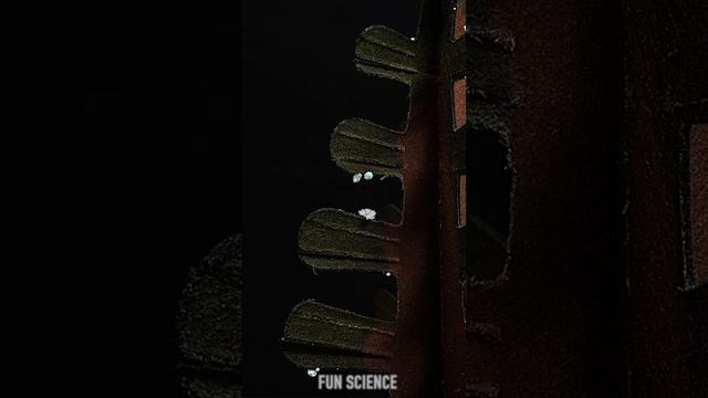 Science Experiment | #shorts #experiment #scienceexperiment смотреть онлайн