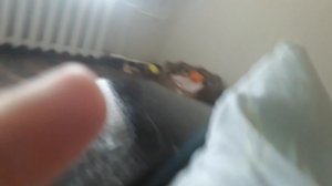 Якур спит не в лежаке