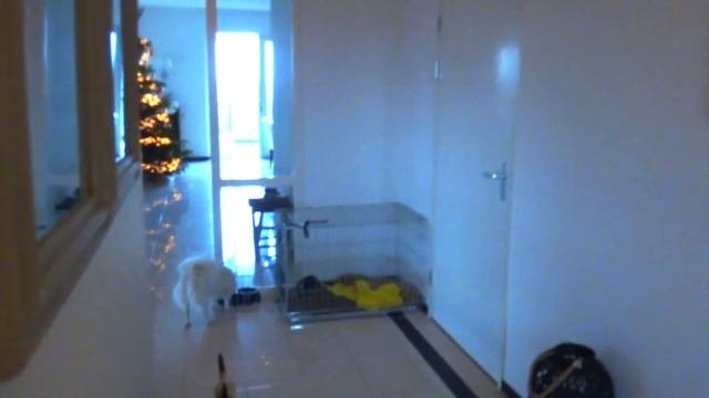 Как мы отмечали Рождество в Голландии, голландские родственники, традиции, спасли Бетти ♥ Lucky Lin