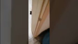 обзор на моё жилище