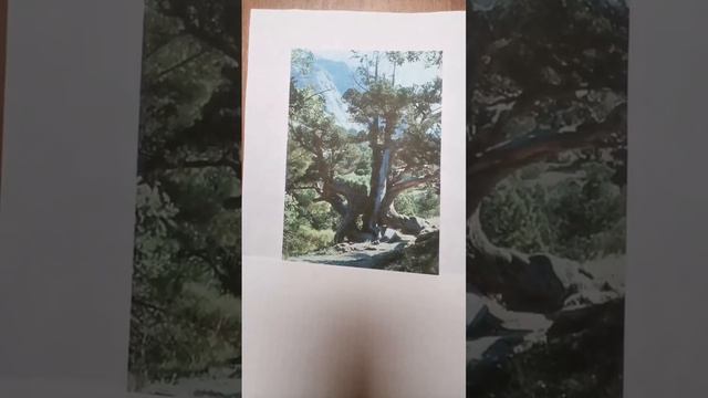 05.02- Літературне читання. Я. Стельмах «Найкращий намет»