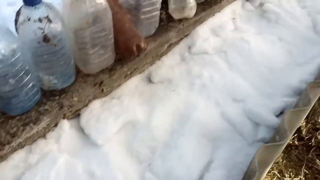 #1#О СИДЕРАТАХ/ПОСЕВ ТОМАТОВ ПОД СНЕГ/РЕДИС В ЯИЧНЫХ ЛОТКАХ/ смотреть онлайн