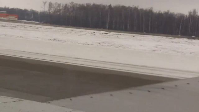 Boeing 737-500 посадка в Домодедово (UUDD), рейс YC89 смотреть онлайн