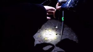 Ловля ночного НАЛИМА на реке Десна. Как ловить осеннего налима? Хитрый налим. На что ловить налима?