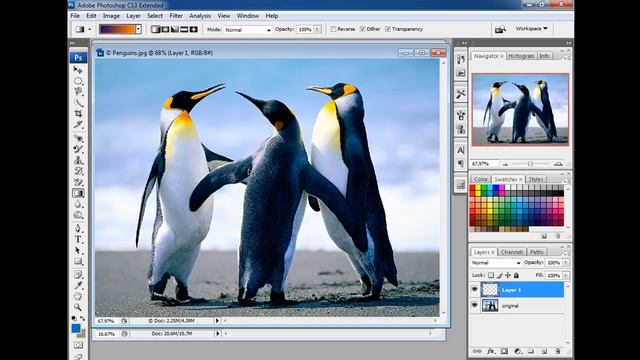 2010 06 01 Tutorial Basic Photoshop смотреть онлайн