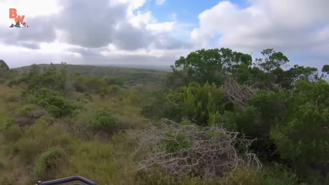 БИТВА СЛОНОВ?! Я ЭТО УВИДЕЛ! / Койот Питерсон на русском смотреть онлайн