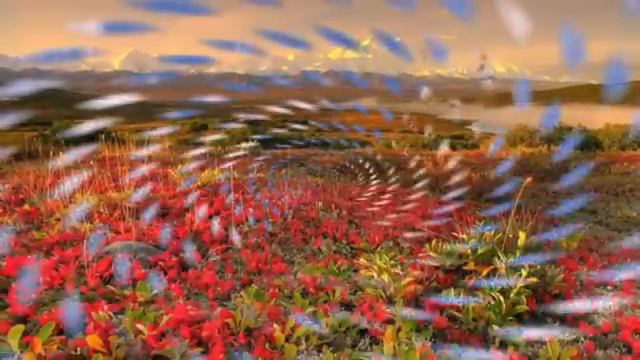 Посторонняя .душевная песня.#красиваяпесня#песняолюбви#