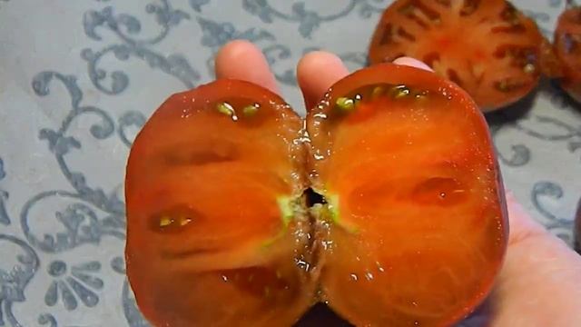 Томат Тай Дей Фреда гном. Тест спелых помидоров. смотреть онлайн