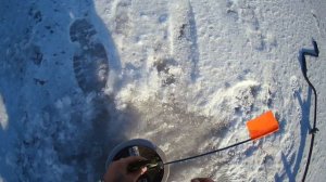 Щука по первому льду! Зимний сезон открыт👌😉