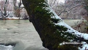 96 аффирмаций на успешную работу и карьеру | Аффирмации на работу 2021