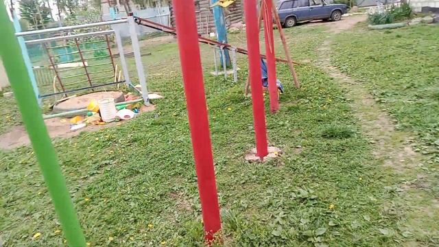 Как стрижи гоняют воробьёв или палка зацвела... смотреть онлайн